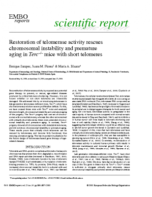 Restoration of telomerase activity rescues chromosomal instability
