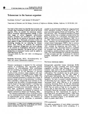 Telomerase in the human organism